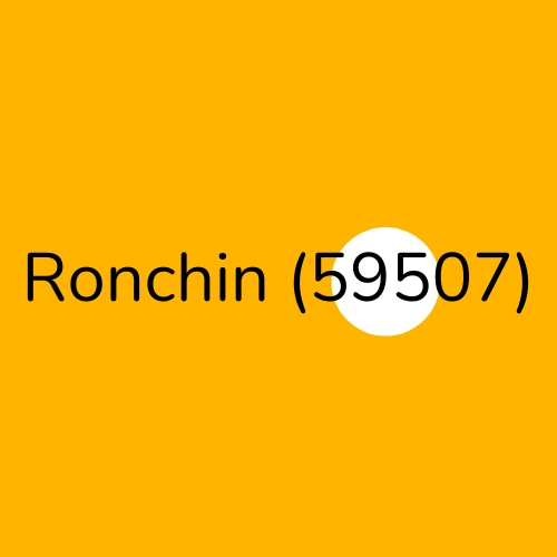 Ronchin 59507