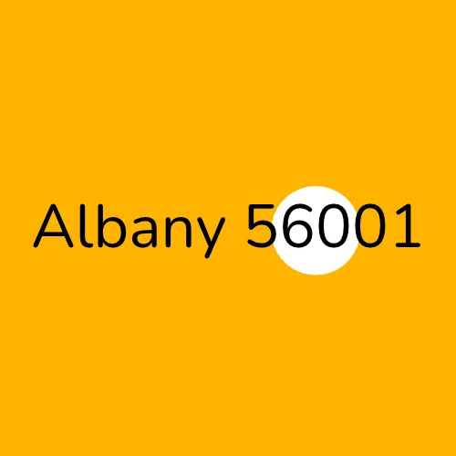 Albany 56001 plumber