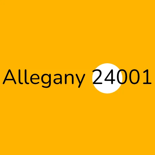 Allegany 24001 plumber