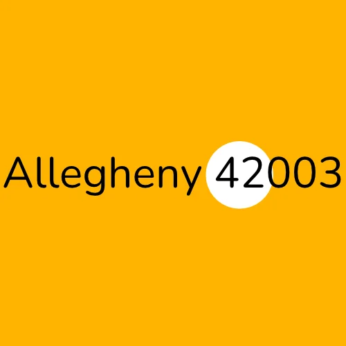 Allegheny 42003 plumber