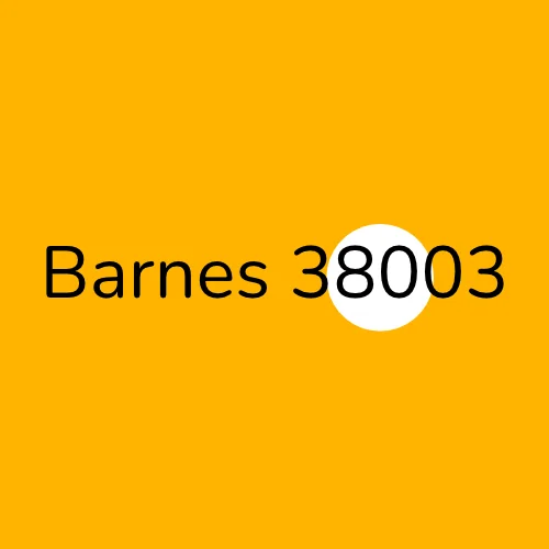 Barnes 38003 plumber