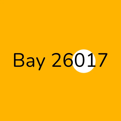 Bay 26017 plumber