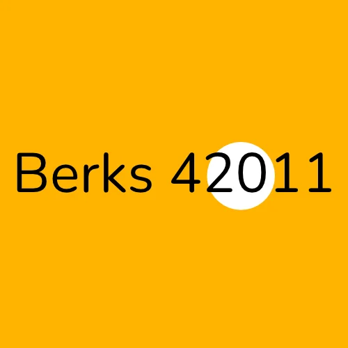 Berks 42011 plumber