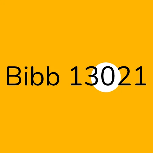 Bibb 13021 plumber