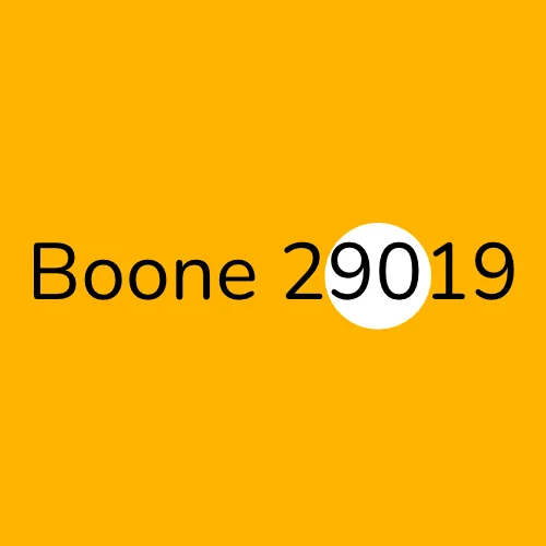 Boone 29019 Electrician