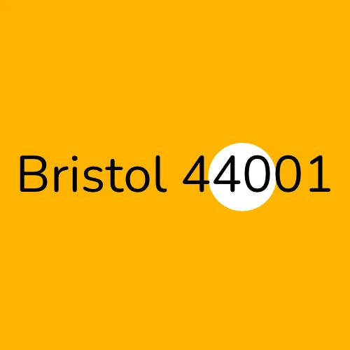 Bristol 44001 plumber