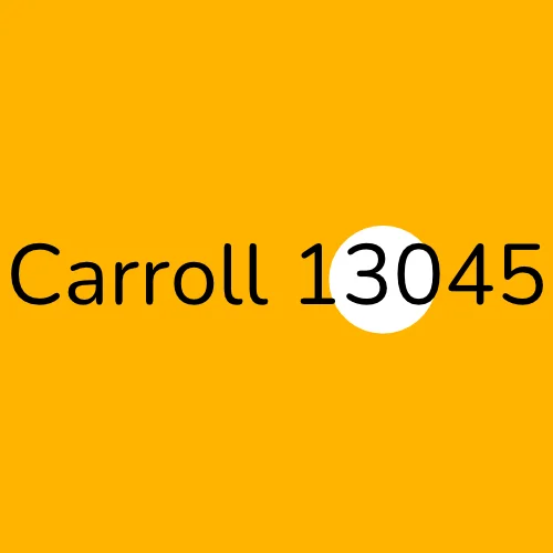 Carroll 13045 plumber