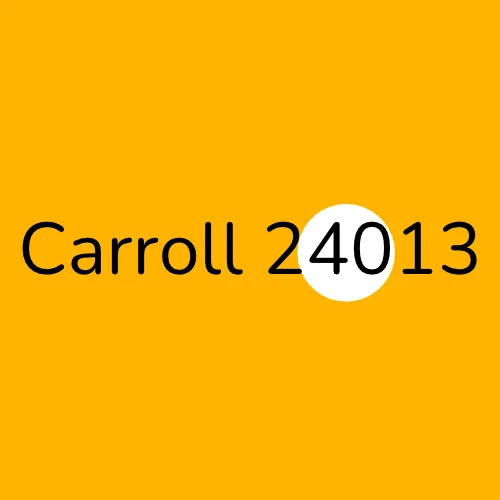 Carroll 24013 plumber