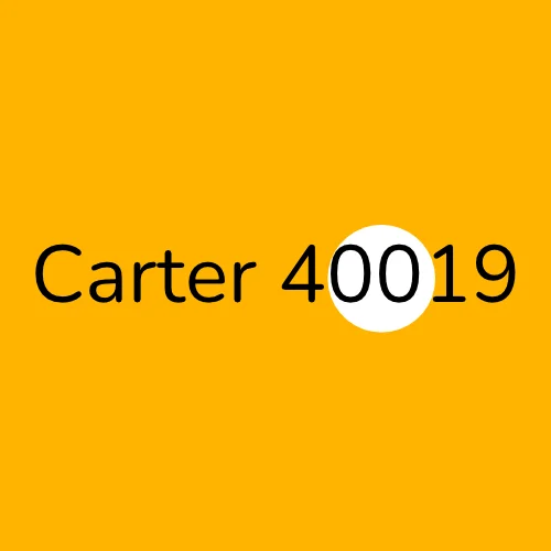 Carter 40019 plumber