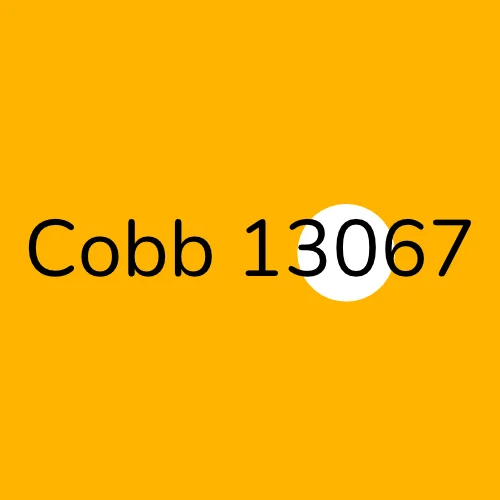 Cobb 13067 plumber