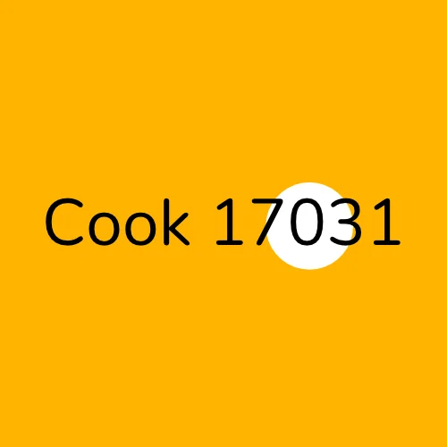 Cook 17031 plumber