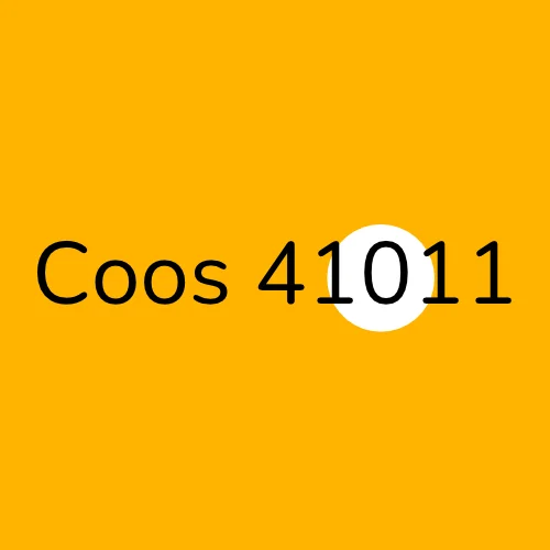 Coos 41011 plumber