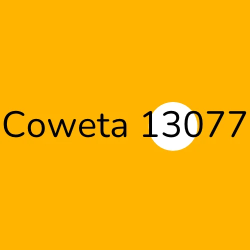 Coweta 13077 plumber