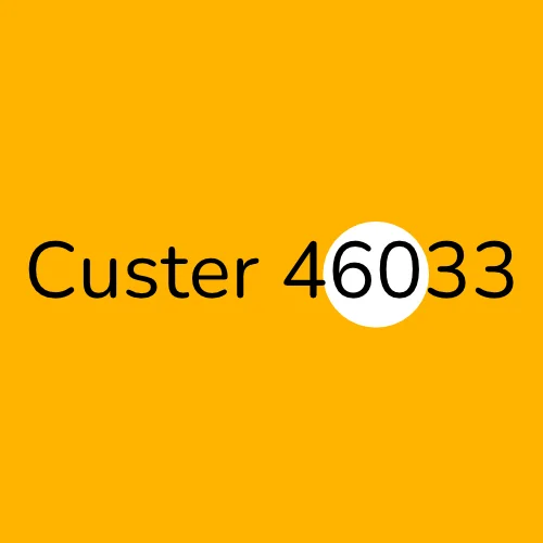 Custer 46033 plumber