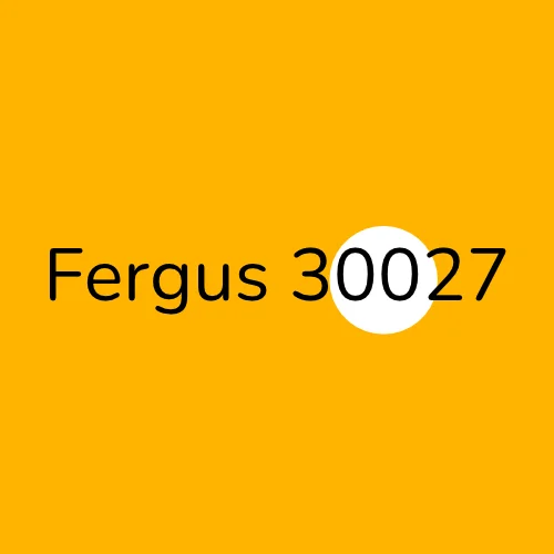 Fergus 30027 plumber