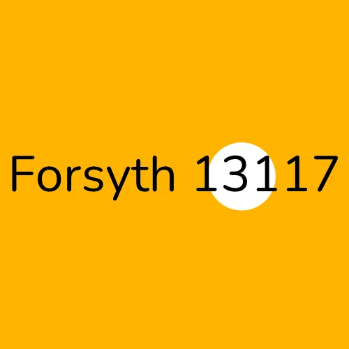 Forsyth 13117 plumber