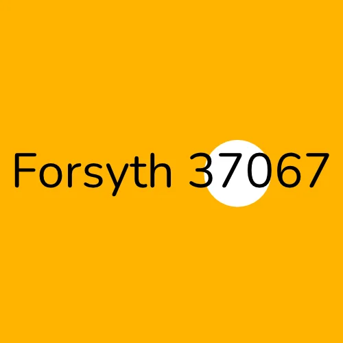 Forsyth 37067 plumber