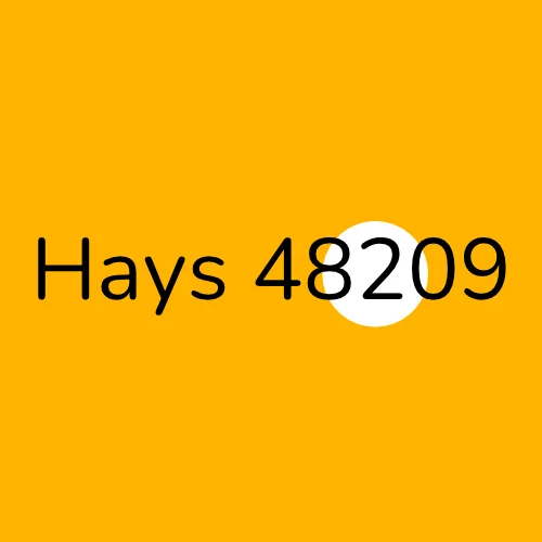 Hays 48209 plumber