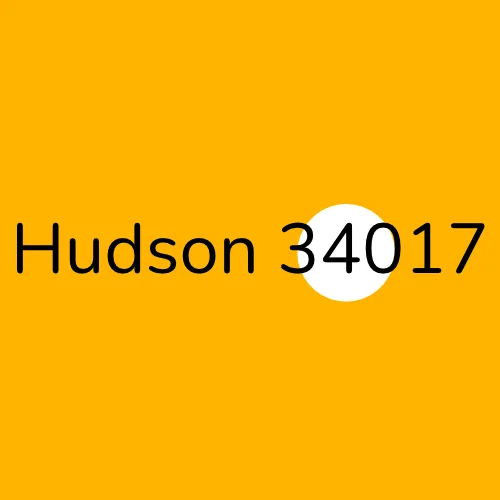 Hudson 34017 plumber
