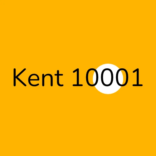 Kent 10001 plumber