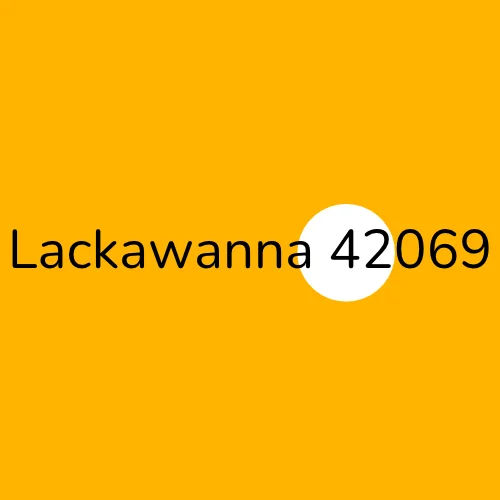 Lackawanna 42069 plumber
