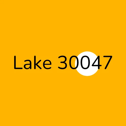 Lake 30047 plumber