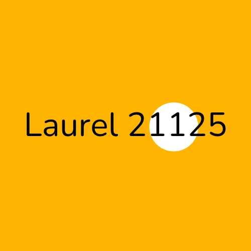 Laurel 21125 plumber