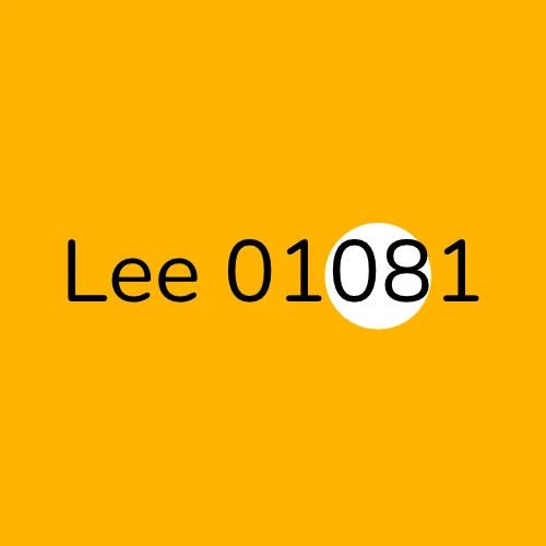 Lee 01081 plumber