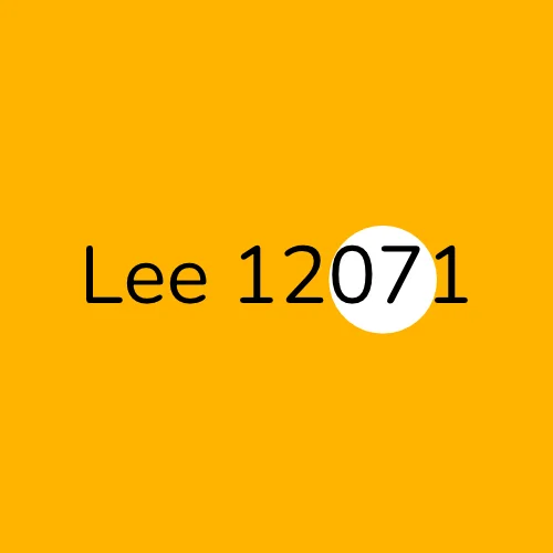 Lee 12071 plumber
