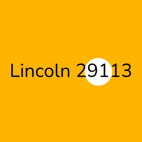 Lincoln 29113 Electrician