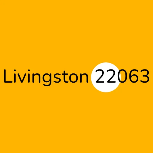 Livingston 22063 plumber