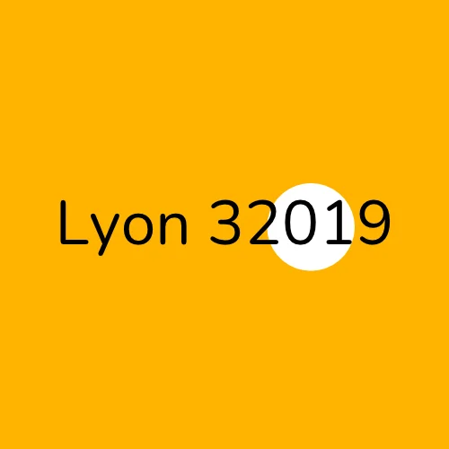Lyon 32019 plumber