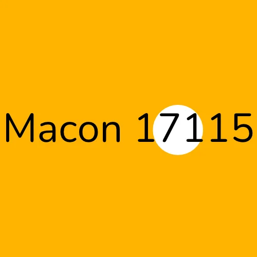Macon 17115 plumber
