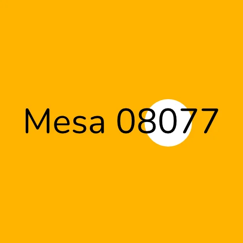 Mesa 08077 plumber