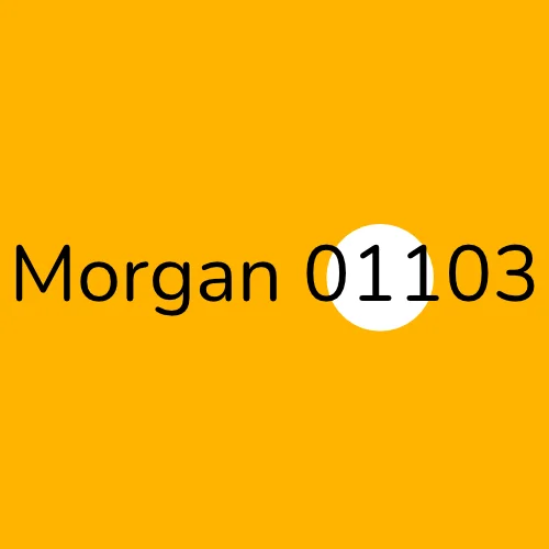 Morgan 01103 plumber