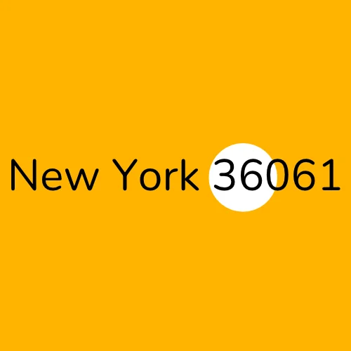 New York 36061 plumber