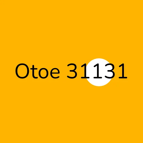 Otoe 31131 plumber