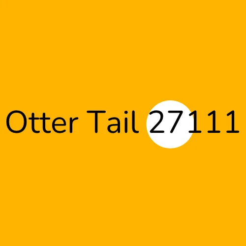 Otter Tail 27111 plumber