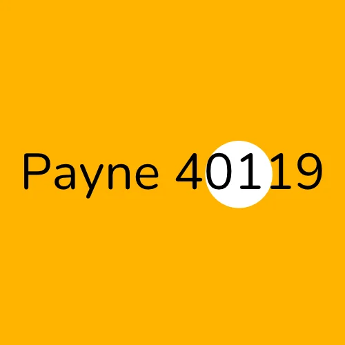 Payne 40119 plumber