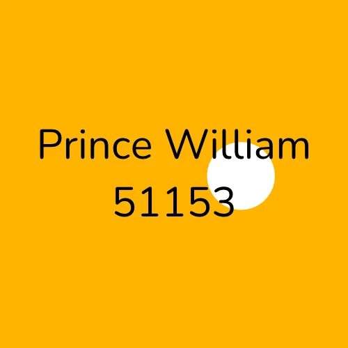 Prince William 51153 plumber