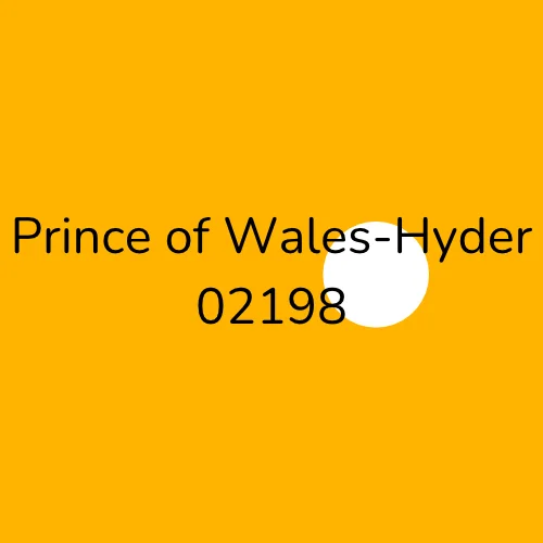 Prince of Wales-Hyder 02198 plumber