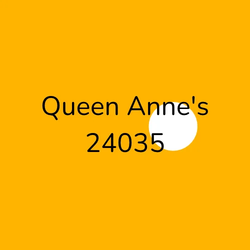 Queen Anne's 24035 Electrician