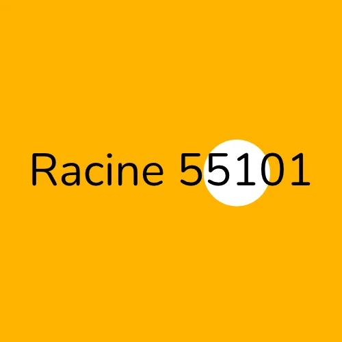 Racine 55101 plumber