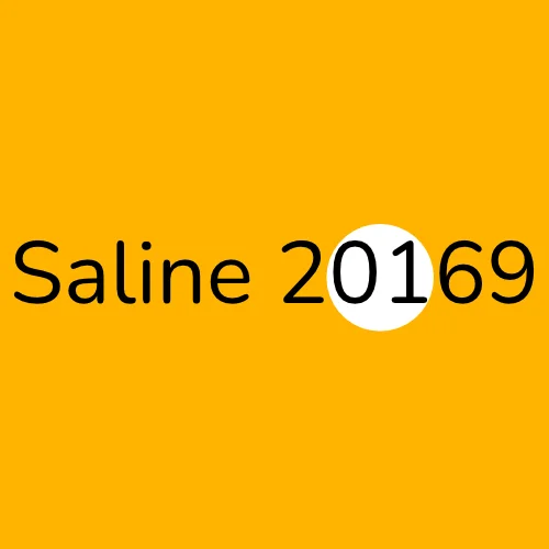 Saline 20169 plumber