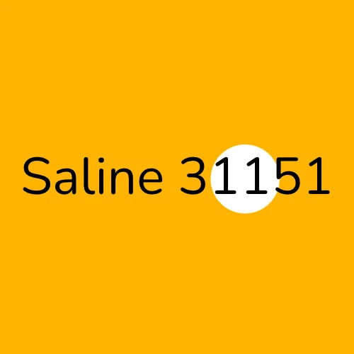 Saline 31151 plumber