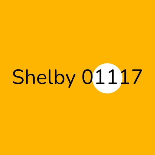 Shelby 01117 plumber