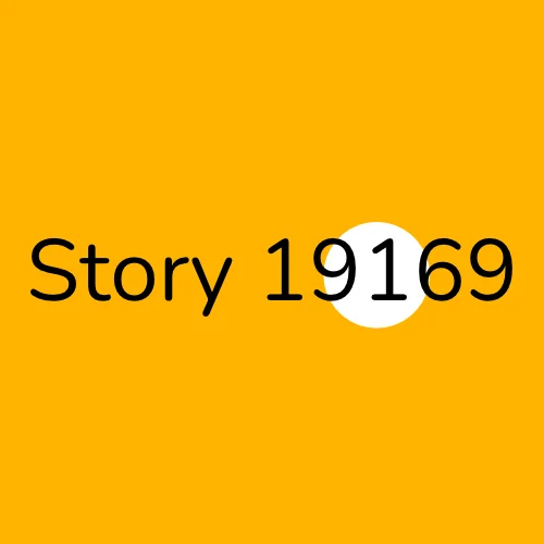 Story 19169 plumber