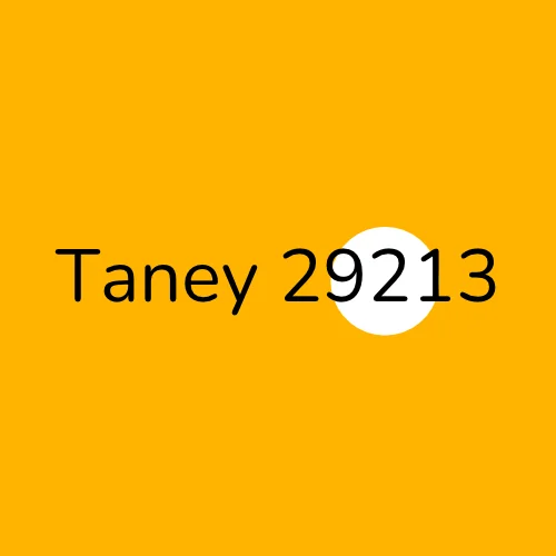 Taney 29213 plumber