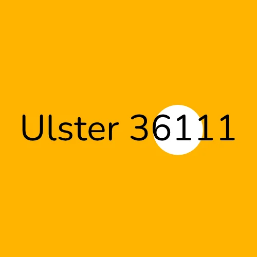 Ulster 36111 plumber