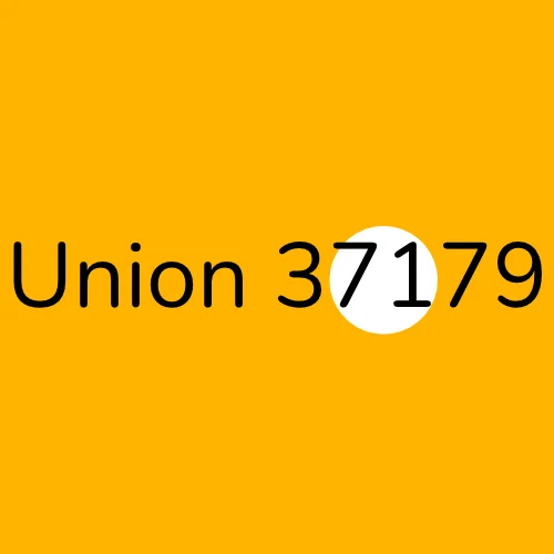 Union 37179 plumber